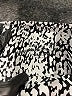 Athleta Animal Print Silver Shorts Size M - photo 3