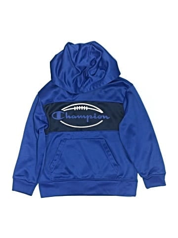 Champion Pullover Hoodie (view 1)