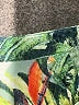 Rip Curl Tropical Green 3/4 Sleeve Blouse Size M - photo 5