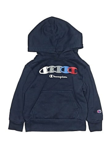 Champion Pullover Hoodie (view 1)