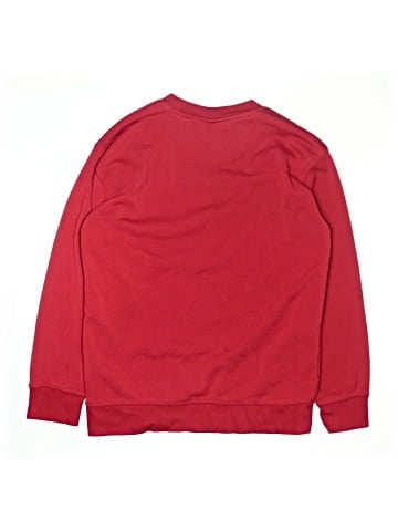 Team Apparel Sweatshirt (view 2)
