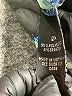 Alyx Paisley Blue Casual Dress Size 2X - photo 8