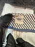Lands' End Canvas Stripes Ivory Shorts Size 12 - photo 3