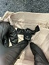 Ann Taylor Tan Formal Skirt Size 0 - photo 4