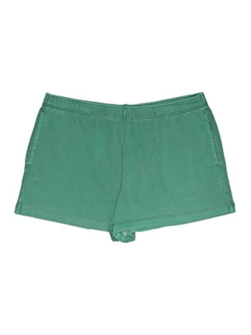 American Eagle Outfitters Shorts (view 1)