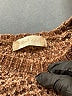 Altar'd State 100% Polyester Brown Tube Top Size S - photo 7