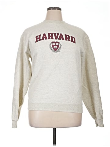 Champion Sweatshirt (view 1)