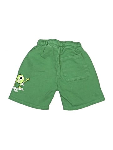 Zara Shorts (view 2)