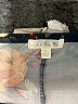 Nine Britton Floral Blue Cocktail Dress Size S - photo 7