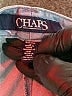 Chaps Blue Casual Skirt Size S - photo 5