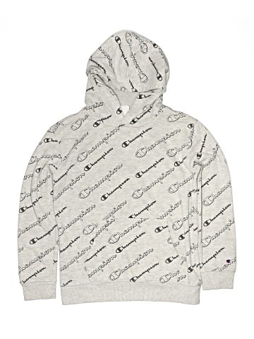 Champion Pullover Hoodie (view 1)