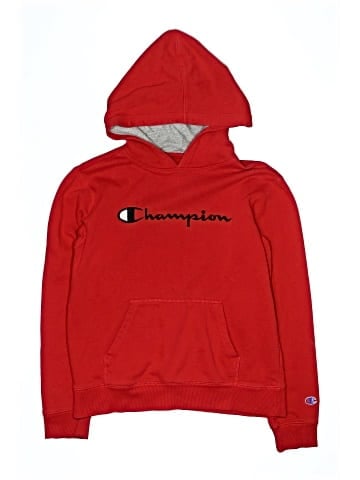 Champion Pullover Hoodie (view 1)