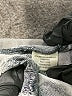 Lovestitch 100% Rayon Silver Short Sleeve Top Size M - photo 8