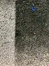 Zara Gray Long Sleeve Turtleneck Size S - photo 8
