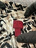 212 Collection Silver 3/4 Sleeve Button-Down Shirt Size 2X - photo 7