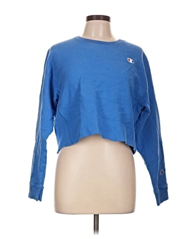 Champion Sweatshirt (view 1)