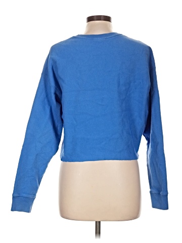 Champion Sweatshirt (view 2)
