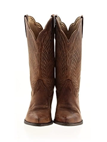 Ariat Boots (view 2)