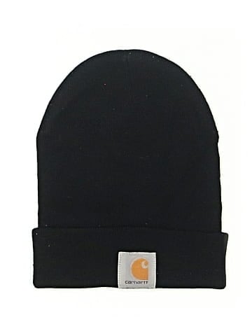 Carhartt Beanie (view 1)