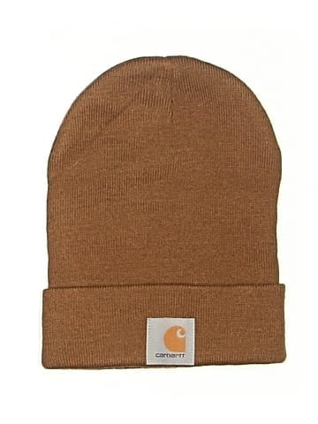 Carhartt Beanie (view 1)