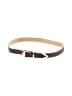 Gap Brown Belt Size XL - photo 1