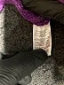 Ann Taylor LOFT Purple Pullover Sweater Size L - photo 8