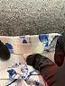 Btween Floral Blue Casual Pants 12-18 MO / 18 MO - photo 3