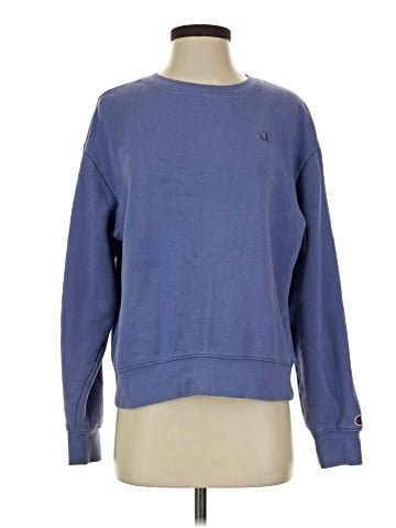 Champion Sweatshirt (view 1)