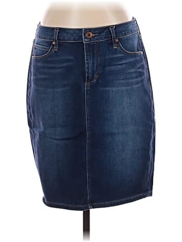 Articles of Society Denim Skirt (view 1)