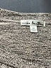 Nine Britton Gray Long Sleeve Top Size 2X - photo 7