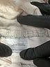 Tory Burch Floral Blue Casual Pants Size 29 waist - photo 8