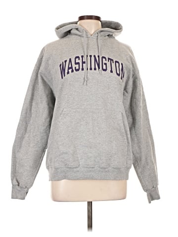 Champion Pullover Hoodie (view 1)