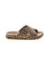 Freedom Moses Brown Sandals Size 6 - 7 - photo 1
