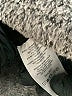 Ann Taylor LOFT Gray Jacket Size L - photo 7