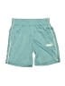 Air Jordan 100% Polyester Solid Teal Athletic Shorts Size 5 - photo 1