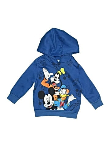 Disney Pullover Hoodie (view 1)