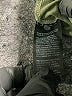 Zenergy by Chico's Green Active Pants Size XL (3) - photo 5