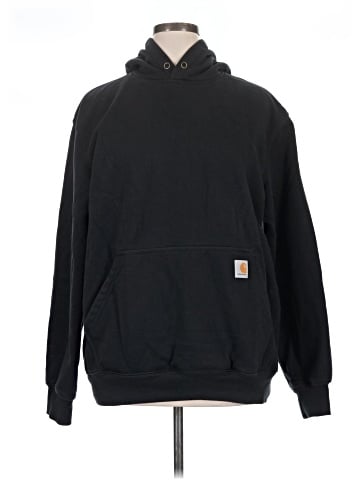 Carhartt Pullover Hoodie (view 1)