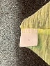 Roxy Yellow Sleeveless T-Shirt Size L - photo 8