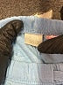 Zara Solid Blue Athletic Shorts Size 5 - photo 3