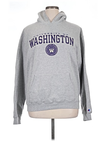 Champion Pullover Hoodie (view 1)