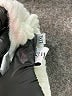 Chicwish Ivory Turtleneck Sweater Size Lg - XL - photo 8