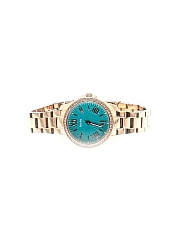 Fossil Watch (view 1)