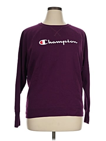 Champion Sweatshirt (view 1)
