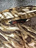 Sofia by Sofia Vergara Animal Print Brown Sleeveless Blouse Size 6 (estimated) - photo 7