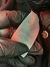 CAbi Black Active Pants Size XL - photo 8