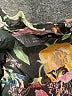 Zara Black Long Sleeve Blouse Size S - photo 7