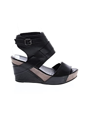 Antelope Wedges (view 1)