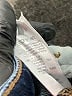 Madewell Blue Jeans Size 28 waist (petite) - photo 5