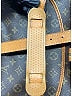 Louis Vuitton Brown Messenger One size - photo 8